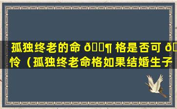 孤独终老的命 🐶 格是否可 🌷 怜（孤独终老命格如果结婚生子会怎么样）